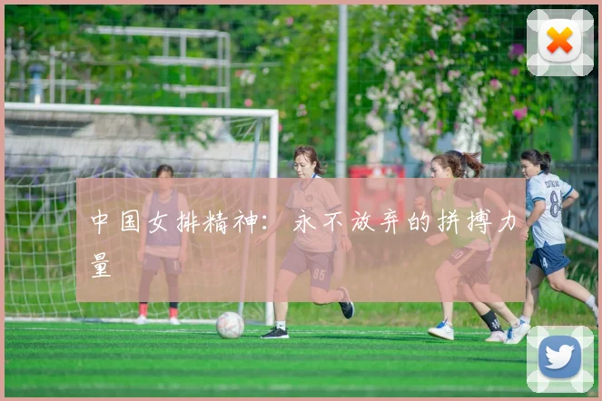 中国女排精神：永不放弃的拼搏力量