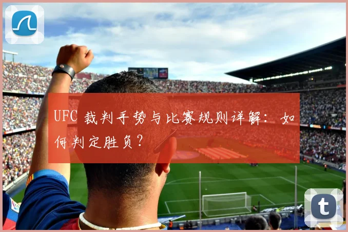 UFC 裁判手势与比赛规则详解:如何判定胜负?